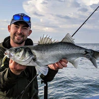 Westin Sandy Andy Weedless Jigs